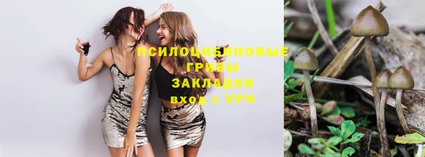 мяу мяу мука Абдулино