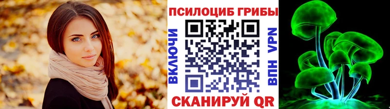 shop телеграм  Ядрин  Псилоцибиновые грибы Cubensis 